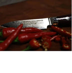 Yaxell Super GOU 161 Paring Knife - 10cm